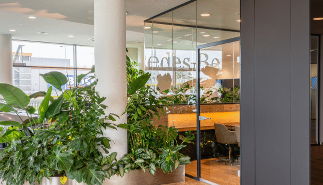 system espes w salonie samochodowym